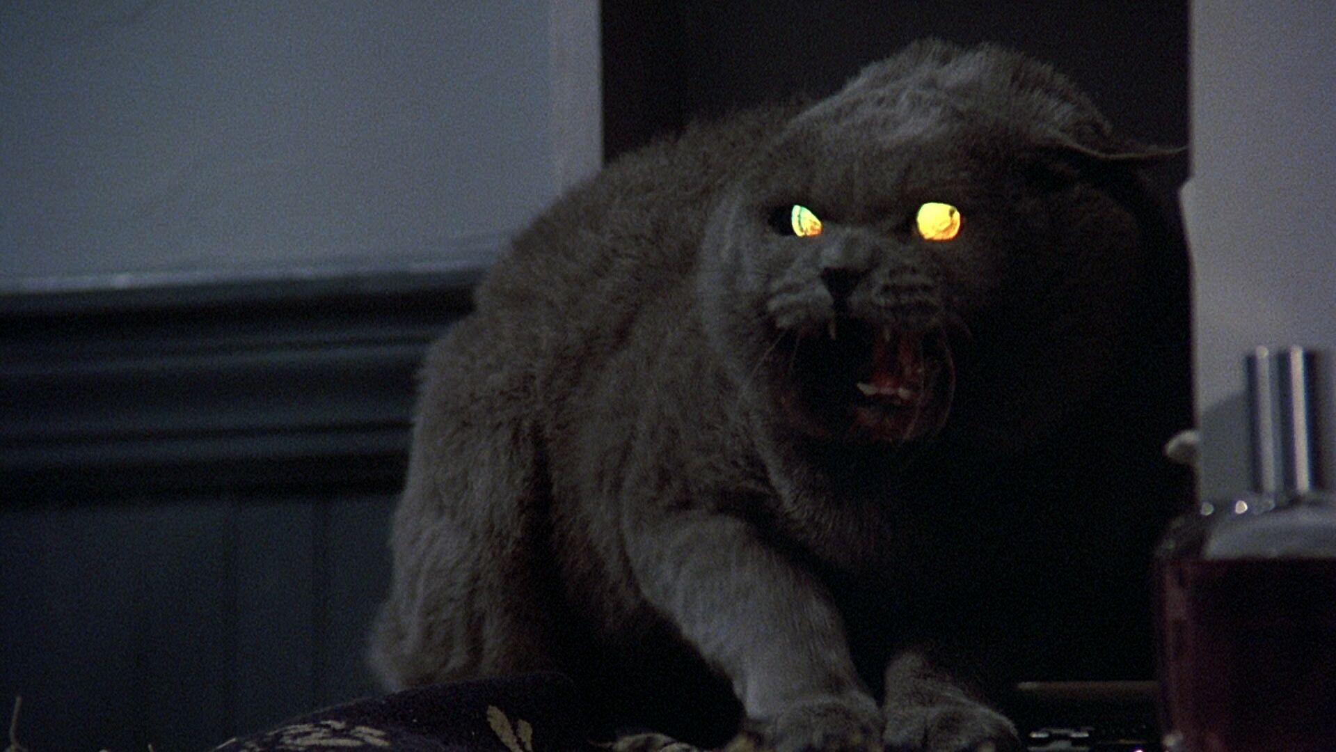 Oct. 6: "Pet Sematary"